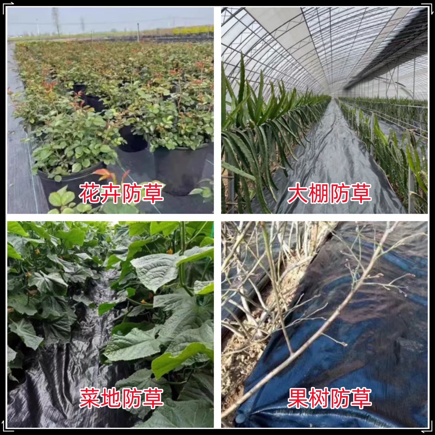 怀化市工程膜防草布 - 排名